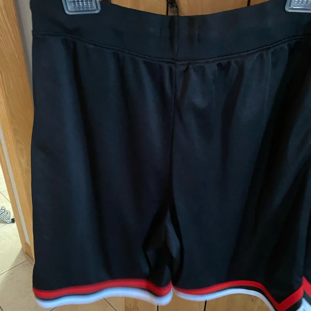 Pacsun black Eagle Embroidered Men's Shorts